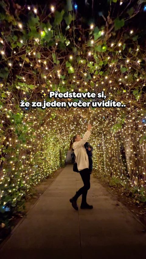 #storyoflights Beitrag