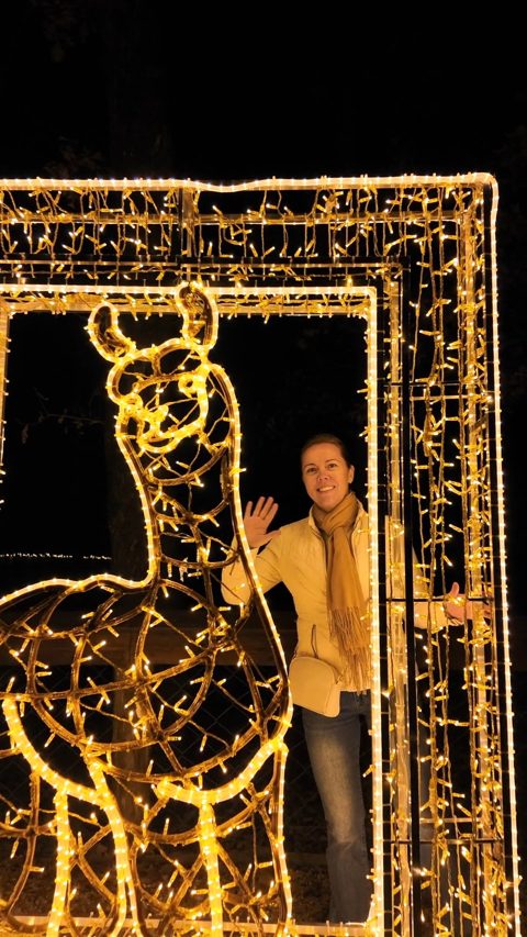 #storyoflights bejegyzés